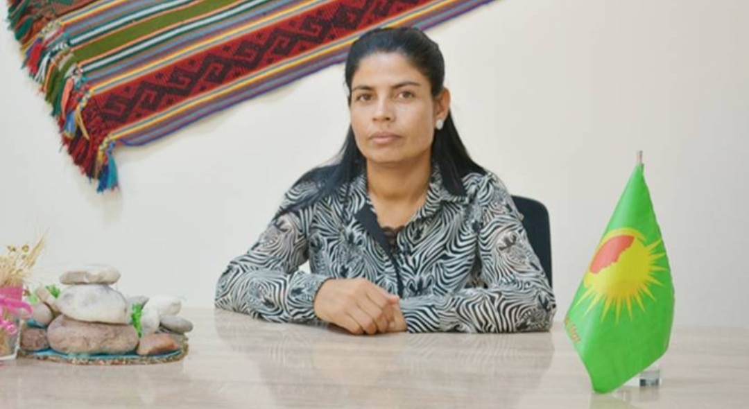 دلي بركل”تركيا تشعر بالخوف من المرأة الحرة والمنظمة”